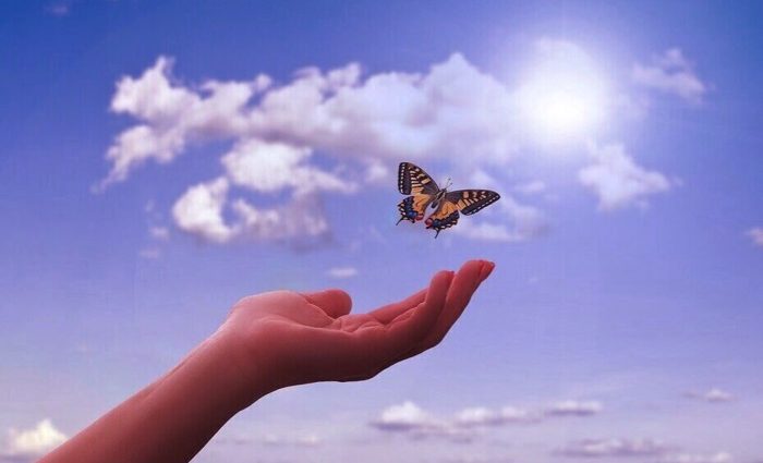 Intuition Connect